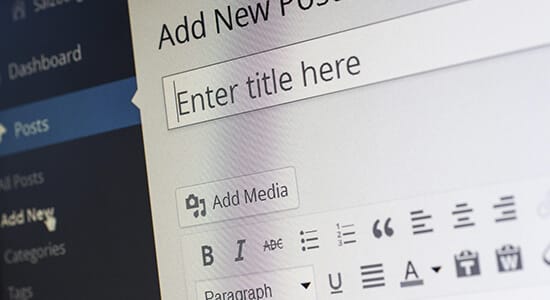 WordPress 主题 / 插件（定制与成品）